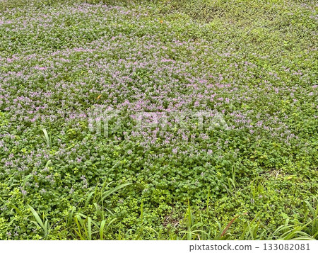 A casual everyday scene 133082081