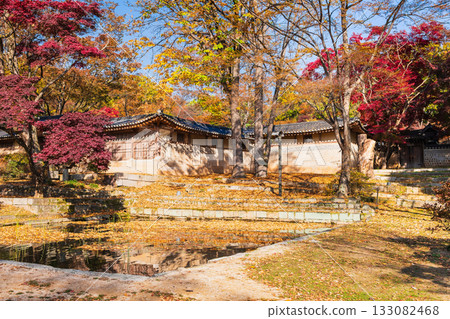 首爾的秋天，昌德宮，後花園 133082468