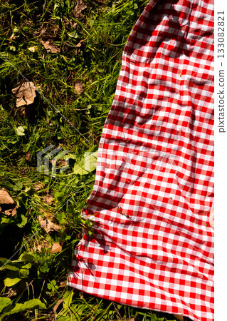 Red checkered picnic blanket on green grass in sunlit park 133082821