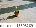 small plant in flower pot 133082891