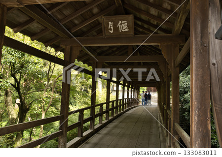 Tofukuji Temple: Strolling around while listening to explanations 6 Tofukuji Temple: Strolling around while listening to explanations 6 133083011