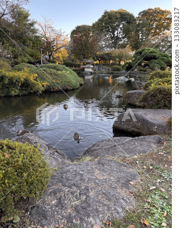 Pond at Takashima Park (October, Suwa City, Nagano Prefecture) Pond at Takashima Park (October, Suwa City, Nagano Prefecture) 133083217