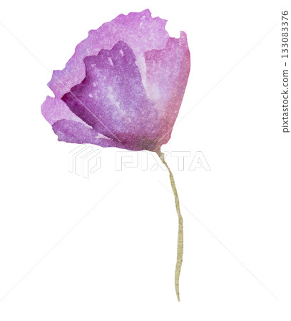 Watercolor pink wild flower isolated illustration, floral wedding and greeting element 133083376