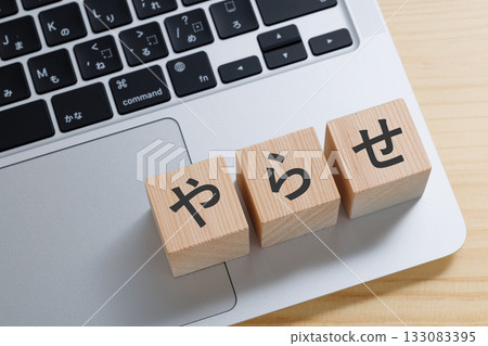 電腦頂部放著一塊寫著「假」字的積木。 電腦頂部放著一塊寫著「假」字的積木。 133083395