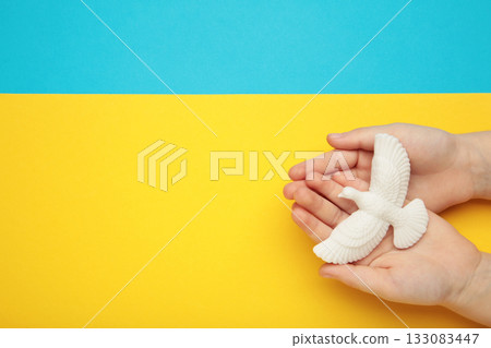 Child hands with dove on yellow blue background. International Day of Peace. Ukraine 133083447