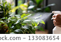 Indoor gardener misting plants with spray bottle. Droplets glisten on vibrant leaves, capturing peaceful home gardening and healthy plant care moments 133083654