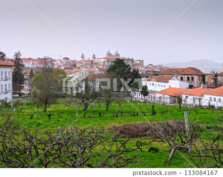 Cityscape skyline Viseu park Portugal 133084167