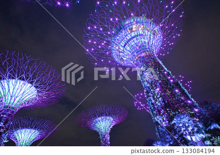 新加坡濱海灣花園的絢麗燈光秀 133084194