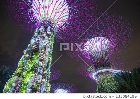 Colorful illuminations at Gardens by the Bay, Singapore 133084199