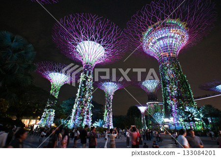 新加坡濱海灣花園的絢麗燈光秀 133084201