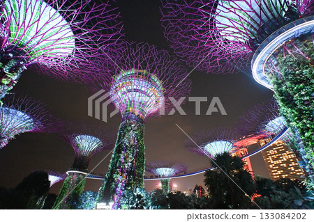 新加坡濱海灣花園的絢麗燈光秀 133084202