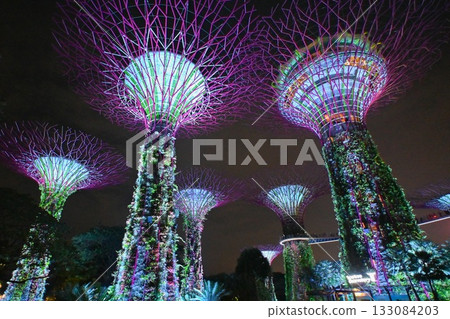 Colorful illuminations at Gardens by the Bay, Singapore 133084203
