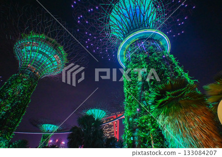 新加坡濱海灣花園的絢麗燈光秀 133084207