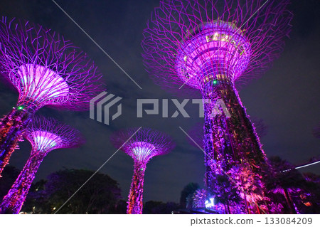 Colorful illuminations at Gardens by the Bay, Singapore 133084209