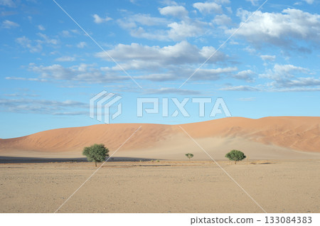 desert sand dunes Sossusvlei, Namibia desert sand dunes Sossusvlei, Namibia 133084383