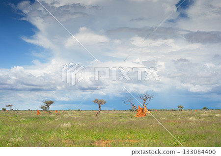 Termite mounds Namibia ants africa 133084400