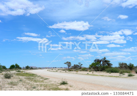 Empty road Namibian desert, Namibia 133084471