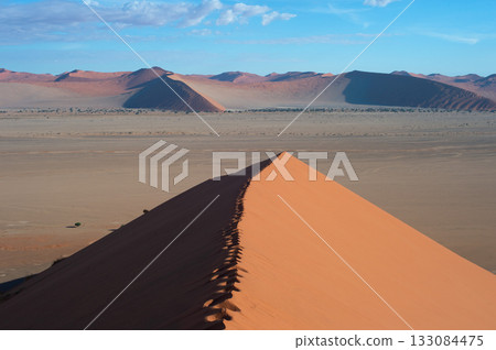 Footsteps  sand dune, Sossusvlei, Namibia 133084475