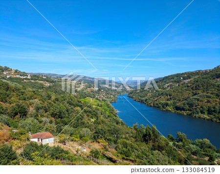 Douro river valley wine Portugal 133084519