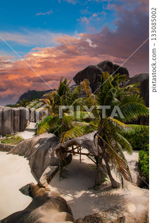 Granite boulders frame white sand and leaning palms at Anse Source d'Argent, La Digue, Seychelles. Warm sunset light casts pink and orange tones in a vertical view. 133085002