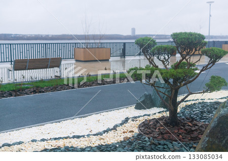 Bonsai tree on the embankment 133085034