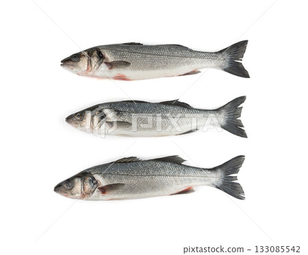 European seabass or Dicentrarchus labrax, whole raw labrax, branzino fish, European bass 133085542