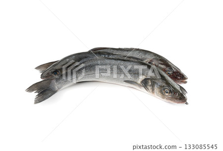 European seabass or Dicentrarchus labrax, whole raw labrax, branzino fish, European bass European seabass or Dicentrarchus labrax, whole raw labrax, branzino fish, European bass 133085545