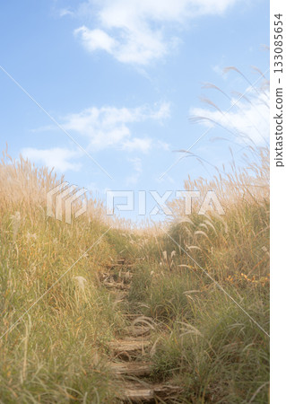 Mountain path surrounded by silver grass and blue sky Mountain path surrounded by silver grass and blue sky 133085654
