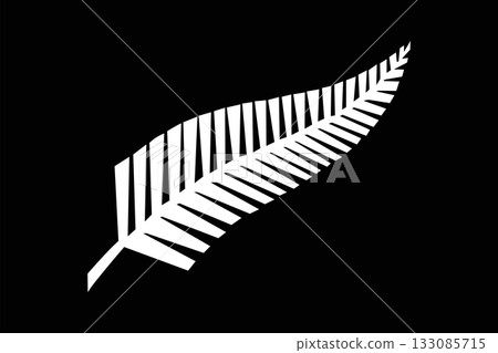 Silver fern flag 133085715
