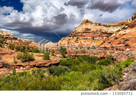 View of Calf Creek in Grand Staircase-Escalante National Monument, Utah. Lush green vegetation follows the creek, contrasting with sandstone cliffs under a dramatic, stormy sky 133085731