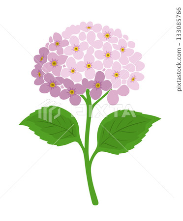 Object pink flower hydrangea Hand drawn. Not AI, vector illustration Object pink flower hydrangea Hand drawn. Not AI, vector illustration 133085766