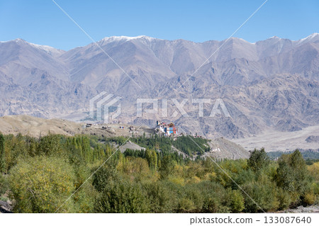 Matho Monastery in Ladakh, India Matho Monastery in Ladakh, India 133087640