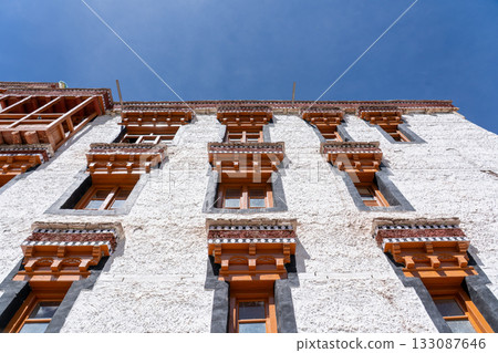 Hemis Monastery in Ladakh, India 133087646