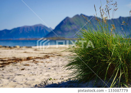 Seascape in Gimsoysand, Lofoten islands, Norway 133087779