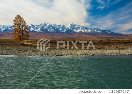 Autumnal landscape with lone tree by river and snow capped mountains in the distance 133087937