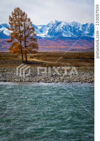 Autumn tree by rocky shore with snow capped mountains in distance landscape scene Autumn tree by rocky shore with snow capped mountains in distance landscape scene 133087939