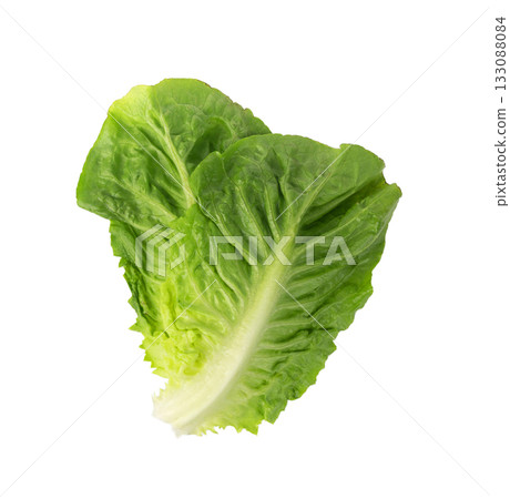 Romaine lettuce salad leaves isolated. Cos green leaves, fresh romain salat, raw romaine cabbage Romaine lettuce salad leaves isolated. Cos green leaves, fresh romain salat, raw romaine cabbage 133088084