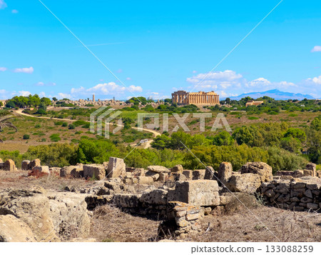Selinunte site with ancient greek ruins, Sicily Selinunte site with ancient greek ruins, Sicily 133088259