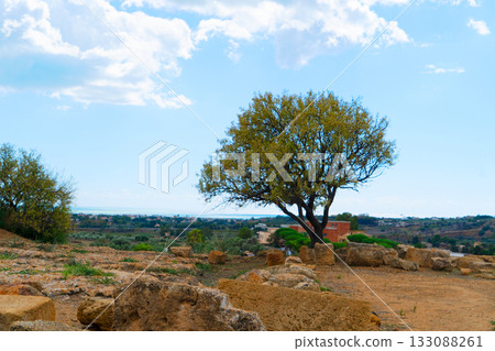 Agrigento site with ancient greek ruins, Sicily Agrigento site with ancient greek ruins, Sicily 133088261