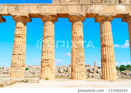 Selinunte site with ancient greek ruins, Sicily 133088265