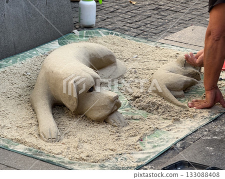 Sand sculpture of dog and puppy created by street artist. Artistic performance, creativity, and craftsmanship expression in urban environment. 133088408