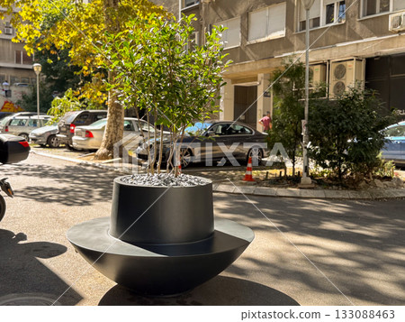 Modern black planter with green shrub in city street. Urban landscape design, minimal geometry, and natural harmony contrast. 133088463