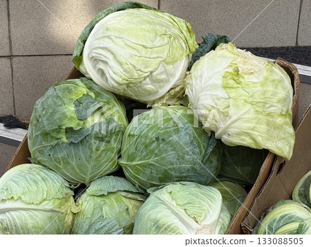 Fresh green cabbage heads in wooden boxes at market. Autumn harvest, vegetarian nutrition, and organic local agriculture theme. 133088505
