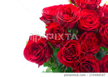 Crimson red rose flowers Crimson red rose flowers 133088587