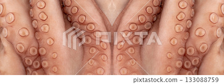 Macro Shot of Whole Frozen Octopus with Big Tentacles Closeup 133088759