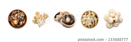 Assorted color mushrooms isolated. Different edible fungus set, portobello, shiitake 133088777