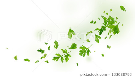 Chopped Parsley Leaves Isolated Chopped Parsley Leaves Isolated 133088793