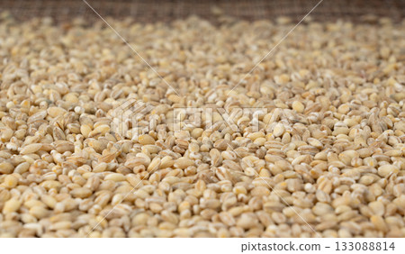Pearl barley grains. Raw peeled cereal pile texture, organic pearl barley Pearl barley grains. Raw peeled cereal pile texture, organic pearl barley 133088814