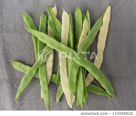 Phaseolus coccineus flat green pods 133088826