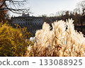 Palace on the Isle reflected in water, Lazienki Park Warsaw  autumn sunlight 133088925